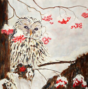 "Barred Owl with Winter Berries"