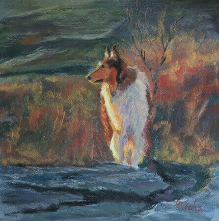 "COLLIE IN THE COULEE"