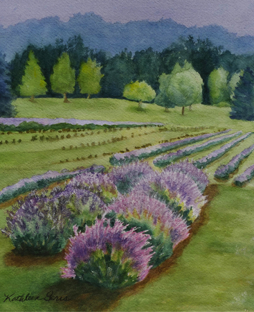 "Lavender Field - After the Rain"