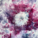 "Pretty Petals"