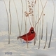 "Snow Bird"