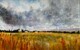 "Storm Clouds over Canola Field"